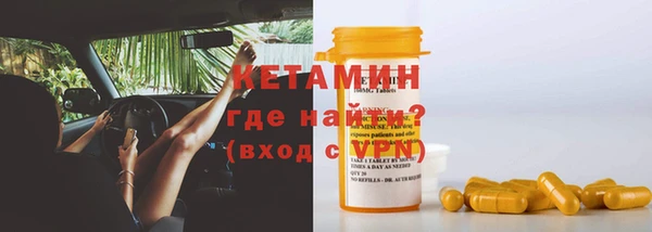 трава Гусиноозёрск