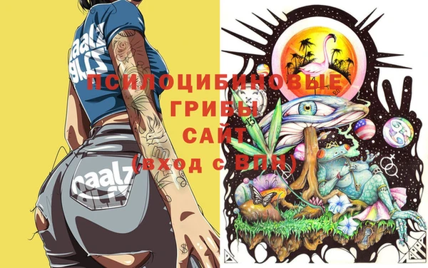 a pvp Абинск